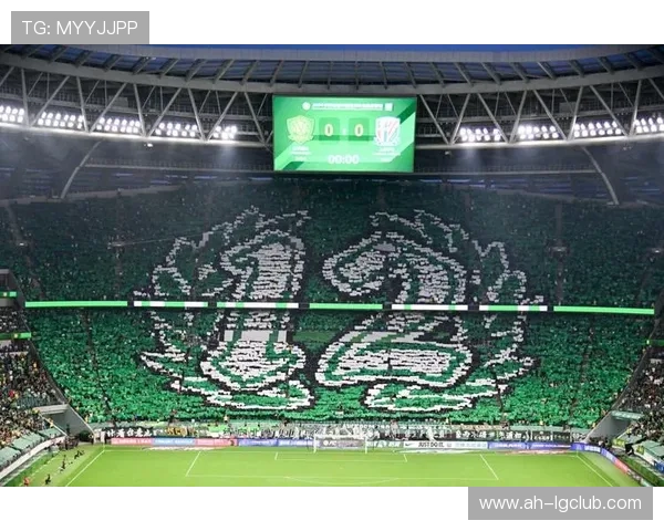 看台之上的艺术足球tifo助威横幅展现球迷激情与团队信仰